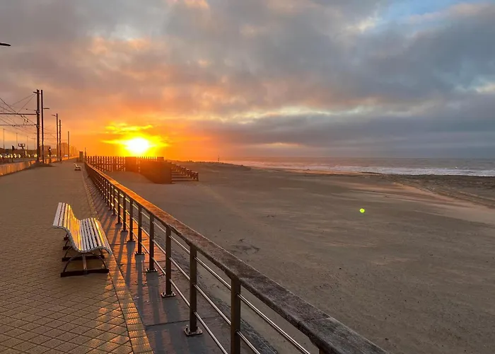 Front In Остенде